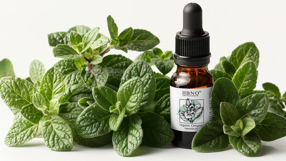 Top Supplier of Bulk Oregano Oil for Your Essential Oil Enterprise