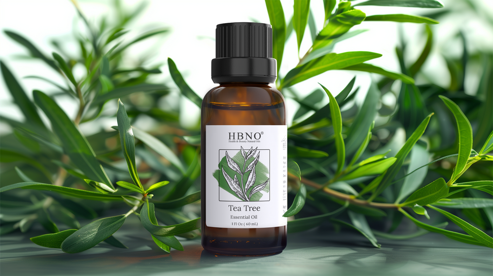 Quality Tea Tree Oil Wholesale: Best Suppliers & Benefits