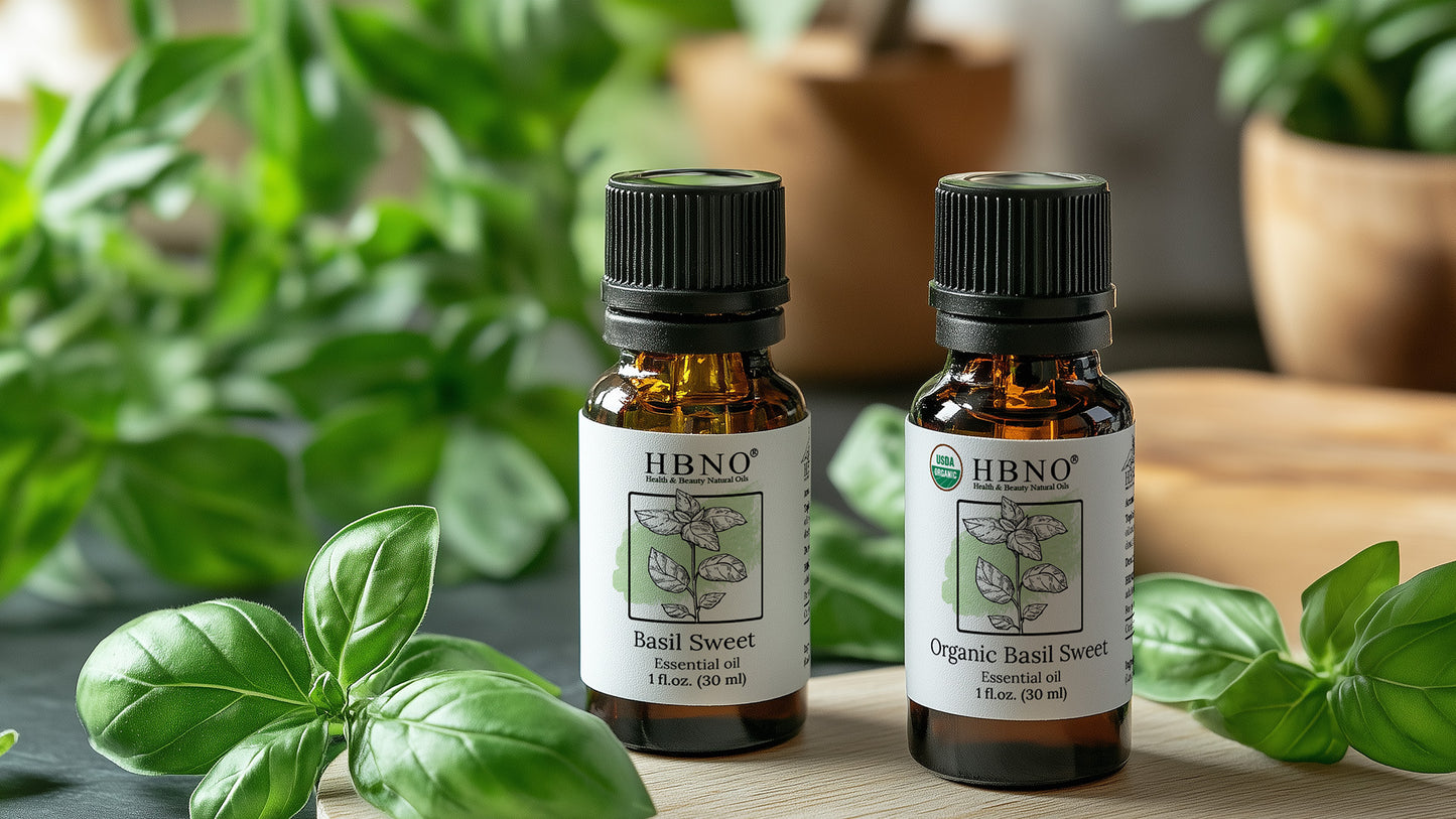 Organic and Inorganic Basil oil