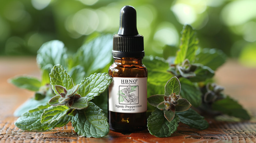 Bulk Peppermint Oil for DIY: Recipes & Health Benefits