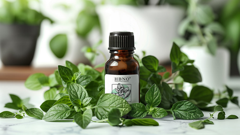 An Essential Guide to Oregano Essential Oil