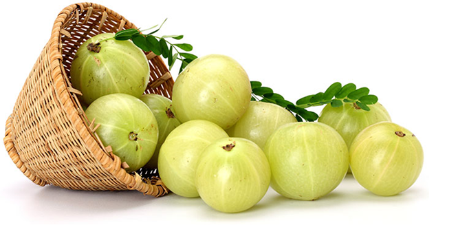 gooseberry oil benefits for hair