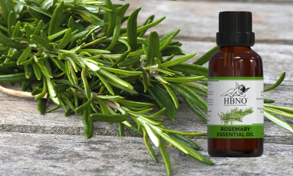 What is the Benefits of Rosemary