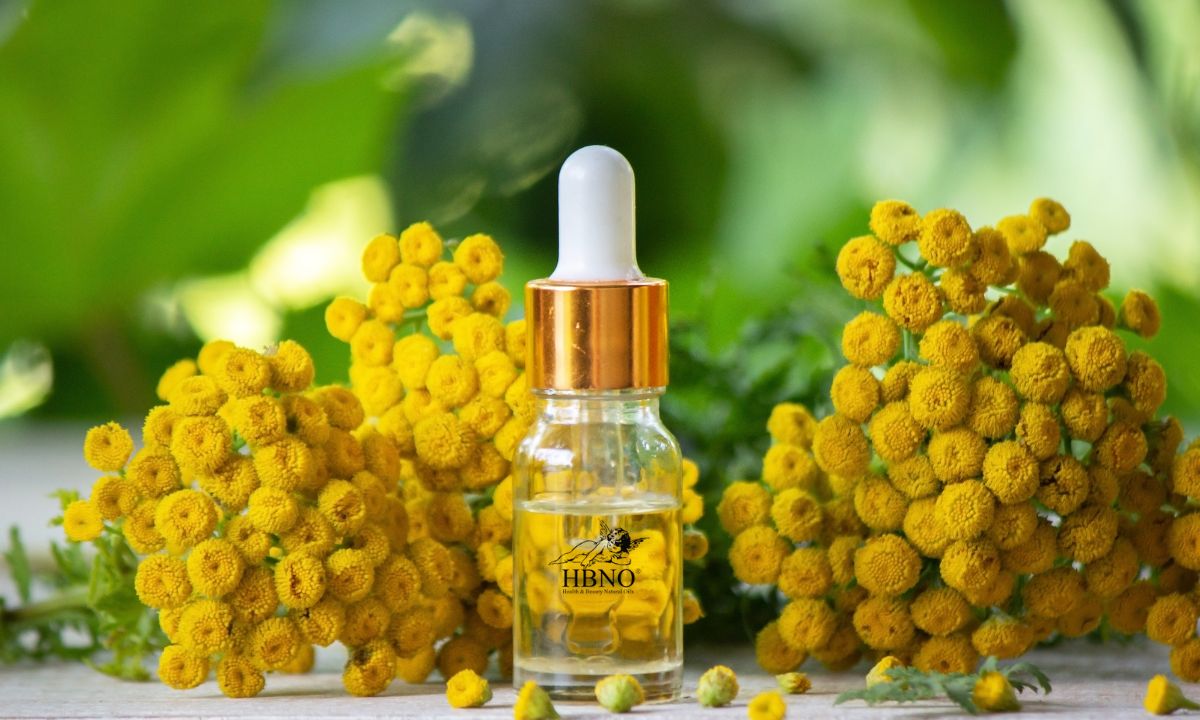 Blue Tansy Essential Oil