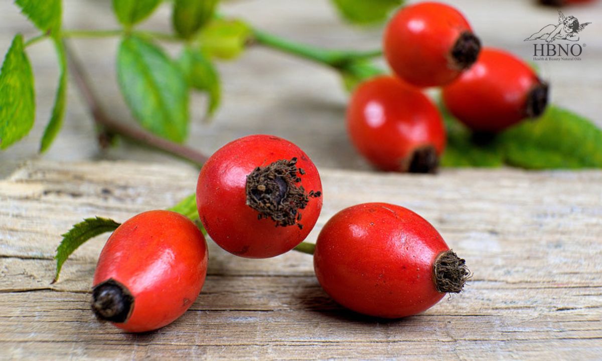 Rosehip Seed Oil